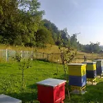 Zielona Zagroda *