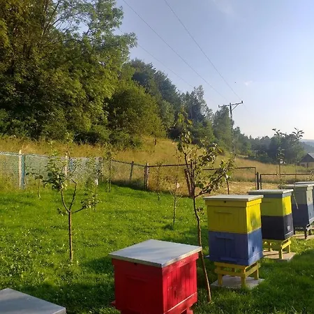 Zielona Zagroda *