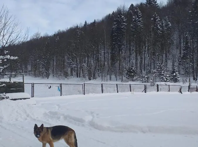 Zielona Zagroda * Przyborow (Silesia)