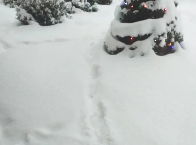 Zielona Zagroda בית אירוח *